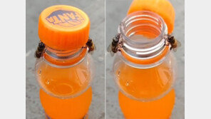 ‘으쌰! 으쌰!’ 음료수 뚜껑 돌려서 연 꿀벌들 (영상)