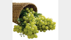 “중국·베트남 ‘샤인머스켓’ 인기에…‘포도’ 역대 최대수출”