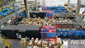 코로나에 출국 막히니…‘동남아 과일 직구’ 적발 급증