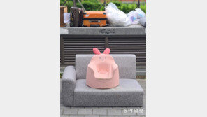 [고양이 눈]이젠 안녕