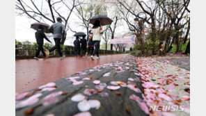 [날씨]전국 시간당 10~30㎜ ‘강한 비’…천둥·번개·벼락·우박