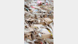 50대 화물노동자, 300kg 폐지 더미에 깔려 숨져