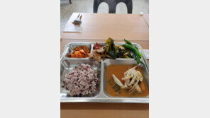 하필 국회의원들이 부대 방문한 날, 삼겹살 데이?…“우연일 뿐”