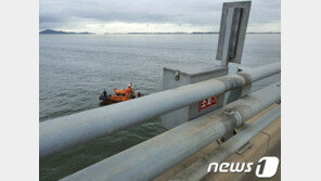 인천대교서 30대 운전자 실종…갓길엔 주차된 차량만