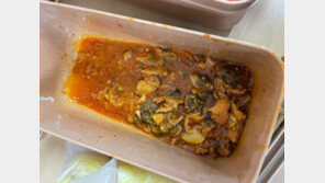 "2~3인분을 16명이 나눠 먹으라?" 또 軍부실급식 폭로