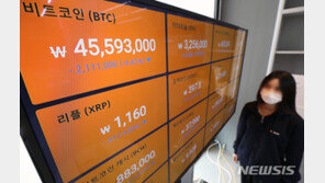 “몰빵했다가 지옥 맛봤다”…암호화폐 절규하는 2030