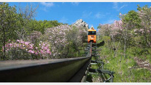 산 오르는 모노레일카 벼락맞고 멈춰…16명 갇혀 ‘덜덜’