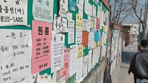 세 집 중 하나 “나 혼자 산다”… 1인가구 10년새 2배로