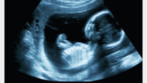 베트남 하노이서 낙태 태아 1000여구 든 냉동고 발견돼