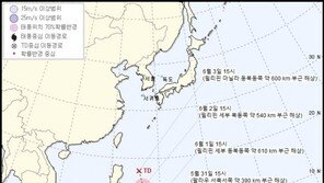 3호 태풍 발생한다는데 SNS에선 4호 ‘고구마’ 예보로 혼란 부채질