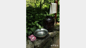 [고양이 눈]옹달샘