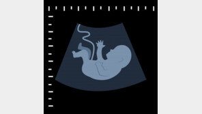 베트남 아파트 냉동고에서 태아 시신 1300구 발견