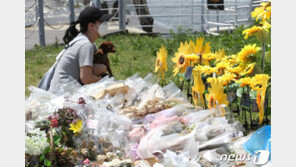 경찰, 정민씨 친구폰 습득 미화원 최면조사…CCTV도 추가분석