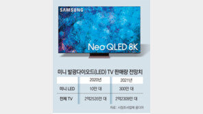 “삼성전자 미니 LED TV 잡아라”… LG전자 - 中TCL 본격 추격전 
