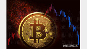 비트코인 급락에 ‘김치 프리미엄’도 4분의 1토막…25%→6.31%로