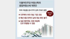 종부세, 상위 2% 부과땐 매년 대상자 달라져… 발표까진 ‘깜깜이’ 