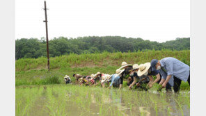 6월 2일은 ‘유기농데이’…친환경농업협회, 기후변화 알리는 행사 개최