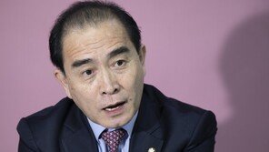 태영호 “靑, 세계가 한국 수도를 평양으로 알아도 괜찮은가”