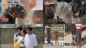 강형욱, 남양주 들개 개물림 사망 사건에 “자자체서 안락사 시켜야”