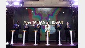 코인 부럽지 않은 대한전선, 주가 55% 급등