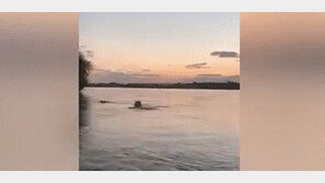 “내 영역이야”…관광객 내쫓는 하마·기린 ‘분노의 질주’ 깜짝