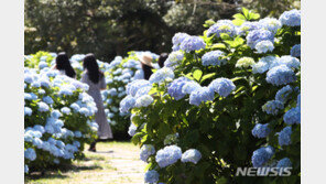 [날씨]2일 전국 대체로 맑음…낮 최고 30도 ‘초여름’