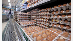 요지부동 계란값 언제 떨어지나…“6월말 평년 수준 회복” 전망