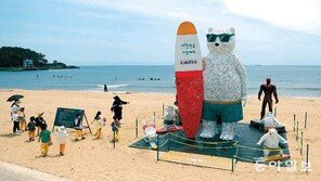 ‘북극곰도 찾는 송정해수욕장’