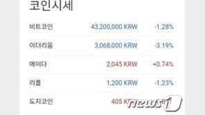 비트코인-이더리움 모두 하락, 낙폭은 크지 않아(종합)