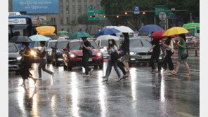 기상예보관 “5월 자주 내린 비, 장마 아닌 ‘세발낙지 패턴’ 때문”