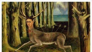 홍준표 “후배들, 아군 선배에만 모질게…나쁜 버릇”