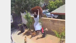 맨손으로 곰 쫓아낸 10대 소녀…“반려견 지키려고” (영상)