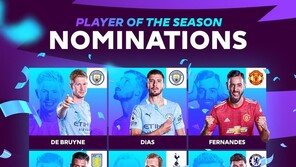 손흥민 빠진 EPL 올해의 선수 최종 8명 후보 공개