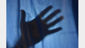 만취한 또래 여중생 성폭행 후 방치해 숨지게 한 10대 男