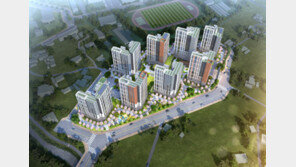  대형 건설사 브랜드 아파트, 지방에서 더 인기… ‘e편한세상 석림 더노블’ 주목