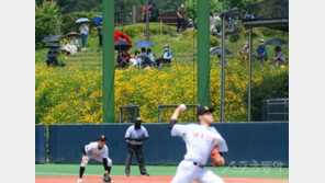 [포토] 꽃밭에서 즐기는 황금사자기