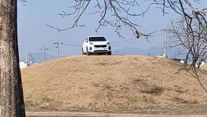 신라 고분 위에 주차한 20대 운전자, 처벌 피했다 