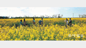 하늘은 파랗게, 땅은 노랗게