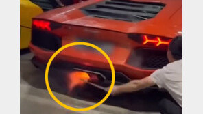 ‘최고급’ 꼬치? 람보르기니 배기구로 구우려다가…(영상)