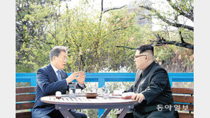 [단독]문재인-김정은 마주앉았던 판문점 ‘도보다리’ 손본다