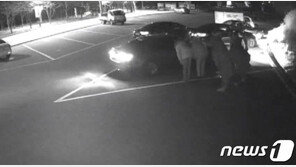 한밤 공원에 쇠파이프 들고 모인 남자들 알고보니 신흥 조폭