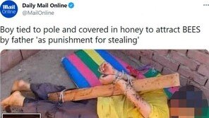 막대에 묶여 꿀 뒤집어쓴 7살 아이…父 “도둑질해 벌준 것”