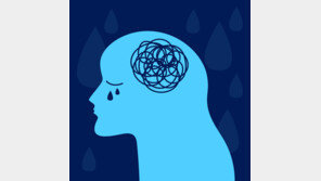 ‘상사에 추행 피해’ 공무원 출신 30대 자택서 숨진 채 발견