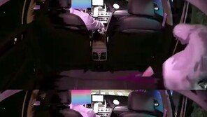 택시비 내는 척 하더니 “응 구라야~” 도망간 10대들