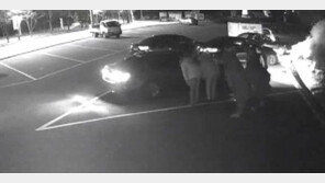 쇠파이프 들고 ‘우르르’…문신 보이며 상인 위협한 조폭들 결국