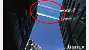 35m 상공 아찔한 구름다리 수영장…“10억 있어야”