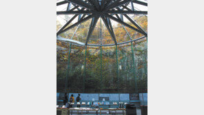 “안전한 여가활동, 온-오프로 즐겨요”