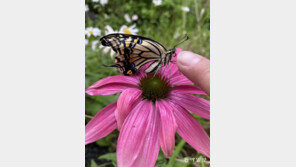 [고양이 눈]온기를 나눠줄게