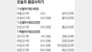 [오늘의 황금사자기]비봉고 外