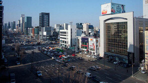  셀럽들 ‘도산대로’ 일대 집결… 품격 높은 ‘청담 라이프’ 원해